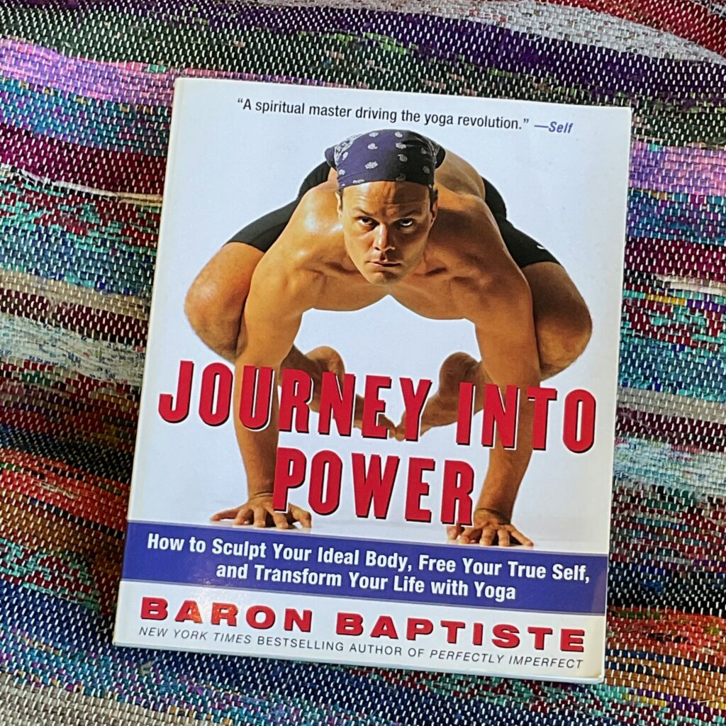 Picture of the book Journey into Power by Baron Baptiste